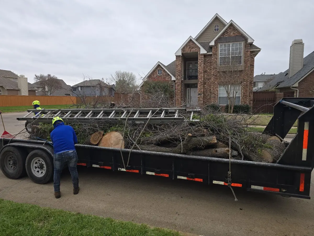Expert Tree Removal with proper safety equipment in Seney